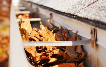 Llanvair Discoed gutter cleaning companies